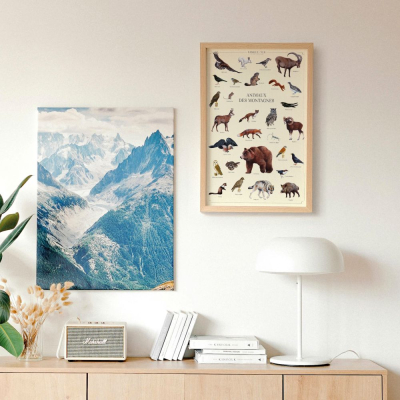 Affiche 40 x 60 cm - Animaux des montagnes