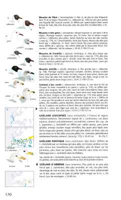 Guide Heinzel des Oiseaux d'Europe - Nouvelle Edition