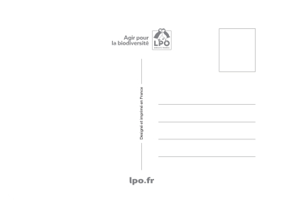 Carte postale LPO vintage Chouette effraie