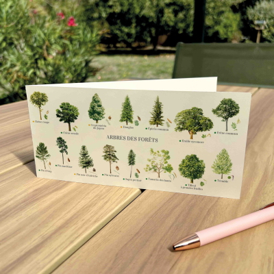 Carte Postale double 21 x 10 cm - Arbres des forêts