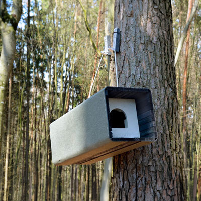 Nichoir Schwegler 1WK Chouette Hulotte