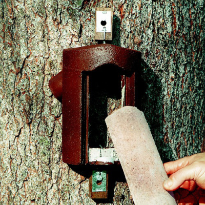 Nichoir Schwegler 2B à grimpereaux