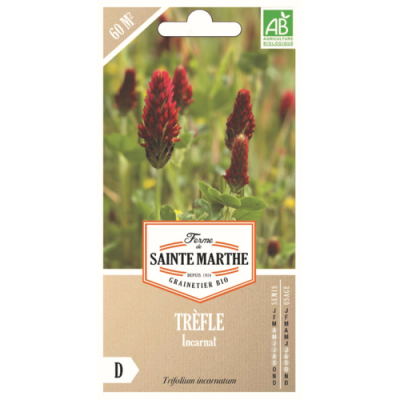 Graines bio engrais vert, Trèfle Incarnat annuelle 60m²