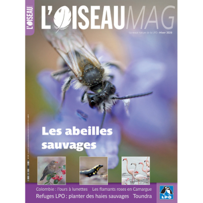 L'Oiseau Mag n° 141