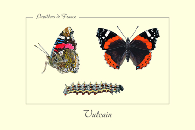 Carte Postale simple 10 X 15 cm Vulcain