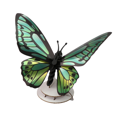 Papillon vert 3D en papier, DIY