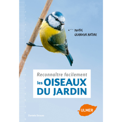 Reconnaître facilement les oiseaux au jardin