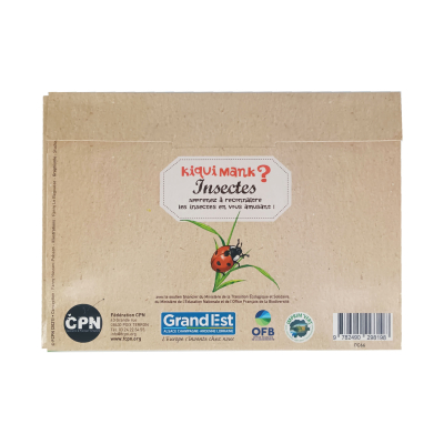 Kiquimank ? Insectes