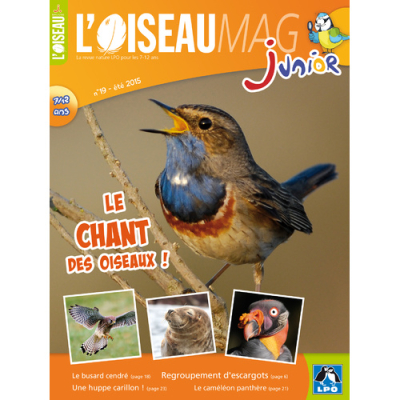 L'Oiseau Magazine Junior n°19
