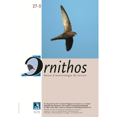 Ornithos N°27/5, Septembre-Octobre 2020