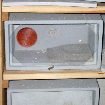 Nichoir Martinet Schwegler n°14