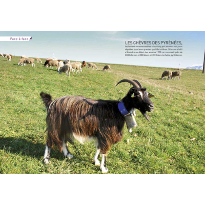 Pays Basque, 22 belles balades