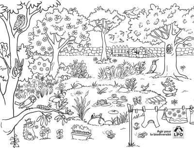 Set de table à colorier réutilisable - La mare