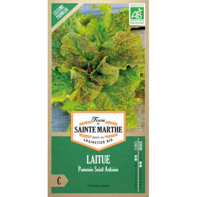 Graines Bio Laitue Pommée Saint Antoine