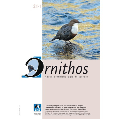Ornithos N°21/1, Janvier-Février 2014