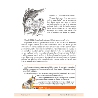 Histoires de Grands-Ducs