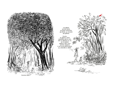 Comment naissent les arbres...