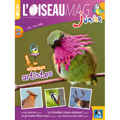 L'Oiseau Magazine Junior n°33