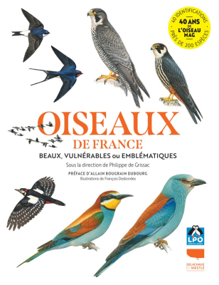 Oiseaux de France - Beaux, vulnérables ou emblématiques