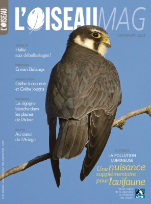 L'Oiseau Mag n° 90