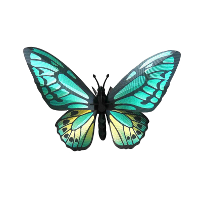 Papillon vert 3D en papier, DIY