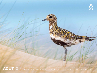 Calendrier LPO 2027 Oiseaux