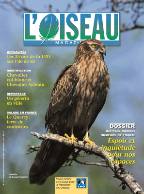 L'Oiseau Mag n° 79