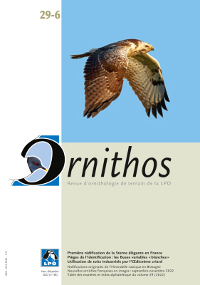 Ornithos N°29/6, Novembre-Décembre 2022