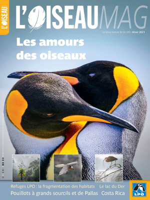 L'oiseau Mag n° 145