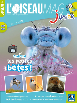 L'Oiseau Magazine Junior n°31