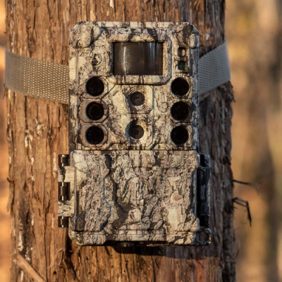 Piège photographique Bushnell Core DS 4K 32MP No Glow