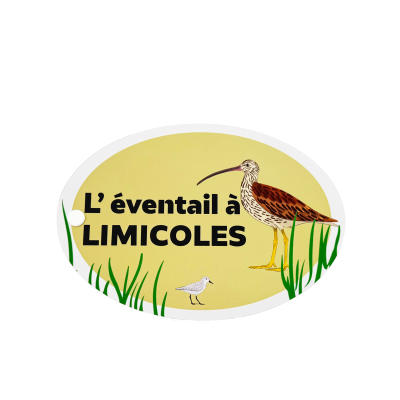 Éventail pédagogique LPO - Identifier les limicoles