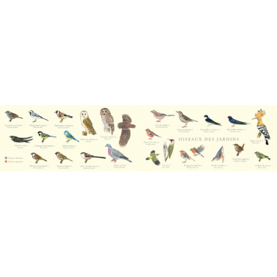 Carte pop-up Mangeoire Oiseaux LPO