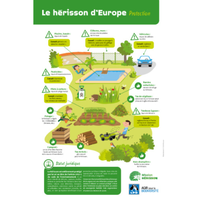 Affiche LPO Hérisson - Protection