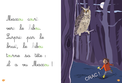 La nuit du hibou, Lecture Montessori Niveau 2