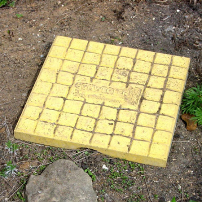 Dalle amovible pour l'observation des insectes Schwegler