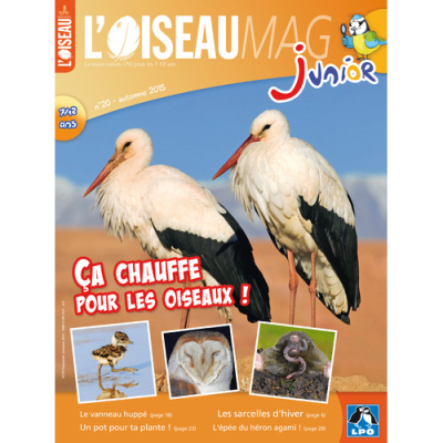 L'Oiseau Magazine Junior n°20