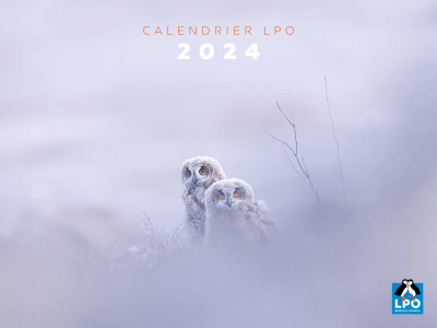 Calendrier LPO oiseaux 2024