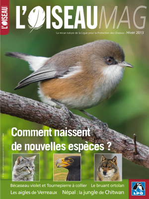 L'Oiseau Mag n°113