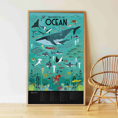 Poster pédagogique 59 stickers - Animaux des mers