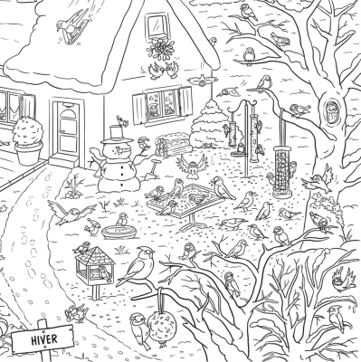 Frise de coloriage LPO - 4 saisons au jardin