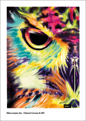 Carte postale LPO 10 x 15 cm - Hibou moyen-duc