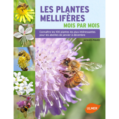 Les plantes mellifères mois par mois