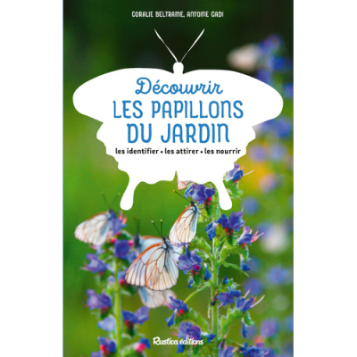 Découvrir les papillons du jardin