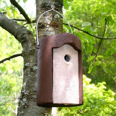 Nichoir Schwegler 1B 29x55 mm