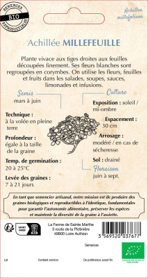 Graines Bio Achillée Millefeuille