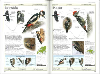 Oiseaux de France et d'Europe + CD