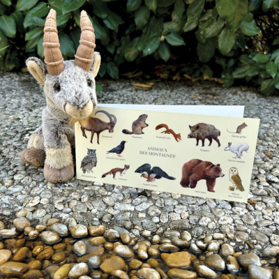 Carte postale double 21 x 10 cm - Animaux des montagnes
