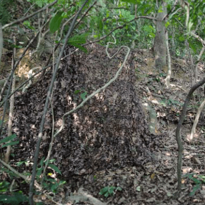 Filet de camouflage sous-bois automne 3 x 3 mètres
