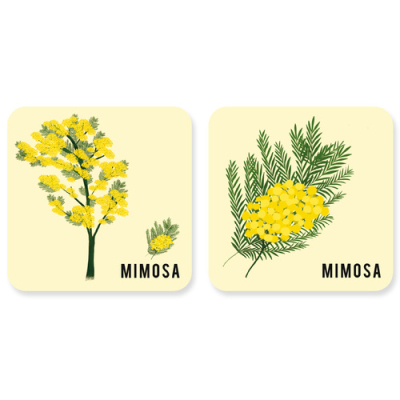 Mes mémos rigolos, l'arbre et sa feuille